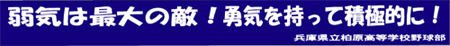 쎖QW