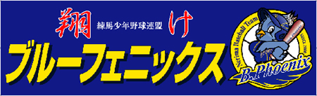 쎖RO